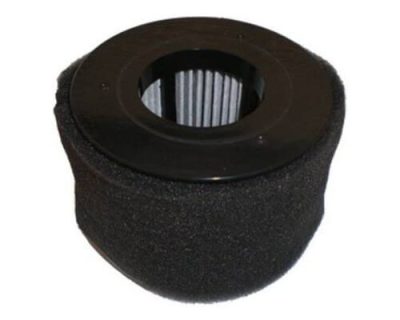 Bissell Power Edge 54A2 Filter