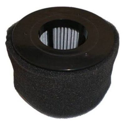 Bissell Power Edge 54A2 Filter