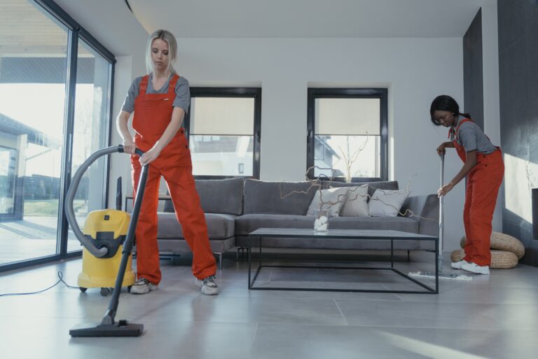 Importance of Vacuum Cleaners